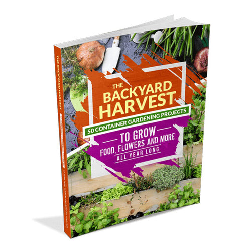 The Backyard Harvest