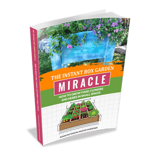 Instant Box Miracle Garden